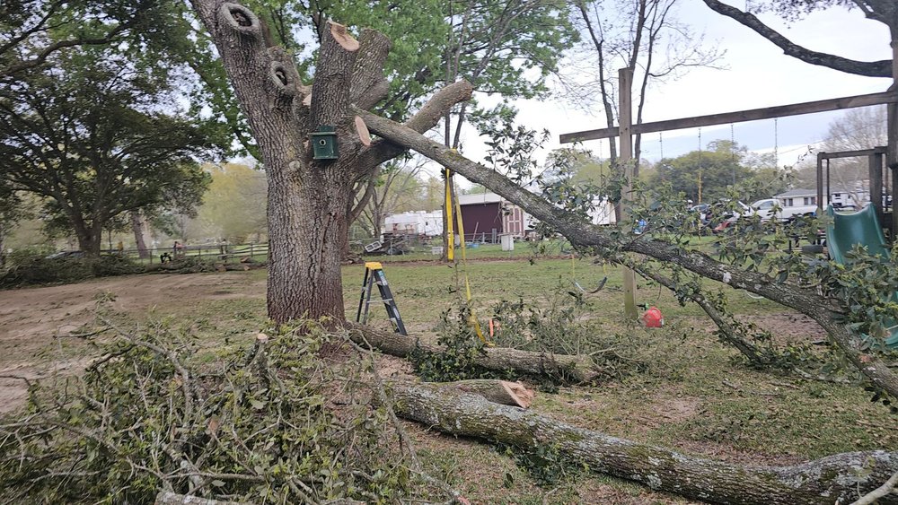 LAFAYETTE LAWN & GARDEN Updated August 2024 27 Photos 105