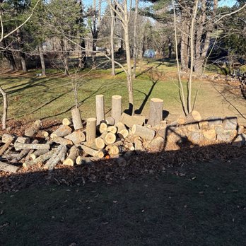 New England Tree Guys - Tree Services Near Me - Haverhill, Massachusetts New England Tree Guys - Tree Services Near Me - Haverhill, Massachusetts