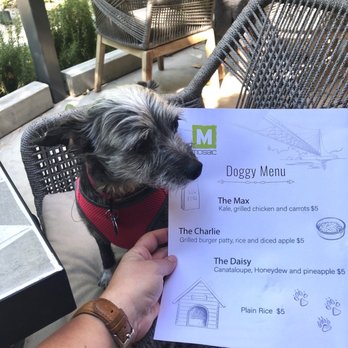 Mosaic Restaurant - Piper deciding what to order. - Bars Near Me - Redding, California