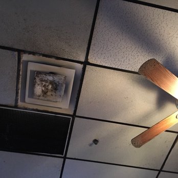 Beef 'O' Brady's - ceiling fan in a restaurant - Pubs Near Me - Lithia, Florida Beef 'O' Brady's - ceiling fan in a restaurant - Pubs Near Me - Lithia, Florida