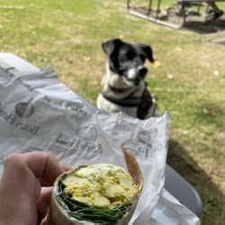 The Elm Street Market - Ethan Allen wrap - curried chicken salad, goat cheese, spinach and mayo