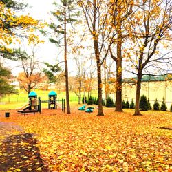 Gable Park - Gable Park -- Playground