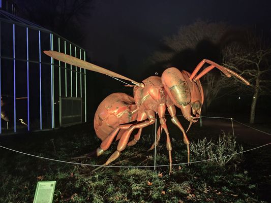 Palmengarten Frankfurt by null