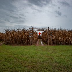 The Farm at Route 8 Shady Lane