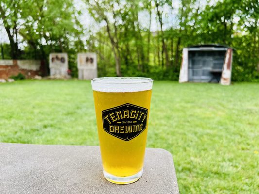 Tenacity Brewing by null