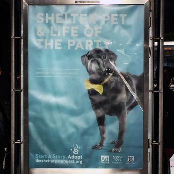 1. Ad Council