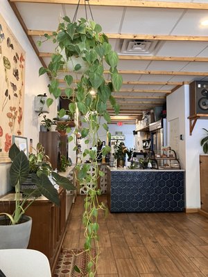 Glasser Coffee Co. by null