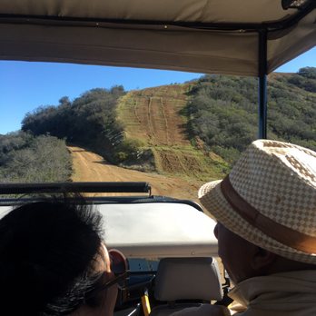 Catalina Expeditions - Somewhere in the mountain. - Tours Near Me - Avalon, California