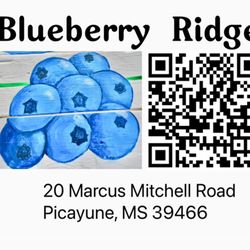 Blueberry Ridge - Logo and QR code to Facebook page