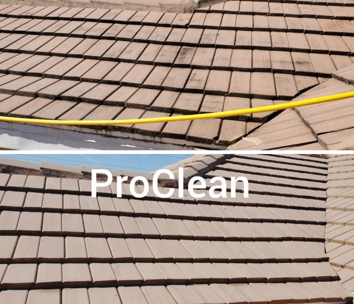 Slide of Tampa Bay Roof Cleaning