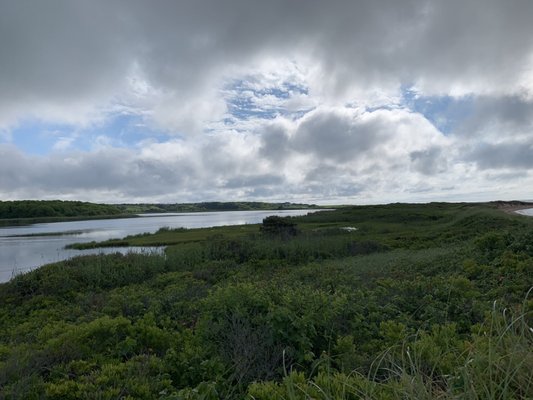 South Cape Beach State Park by null