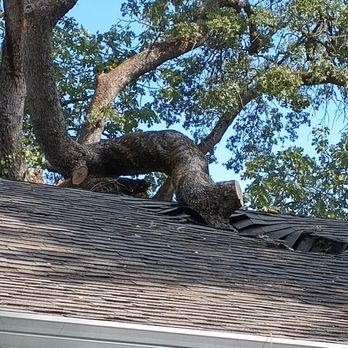 Above It All Tree Care - Branch penetrating roof - Tree Services Near Me