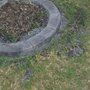 Photo of Cowboy Custom Curbing