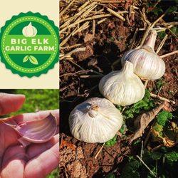 Big Elk Garlic Farm - Best Garlic