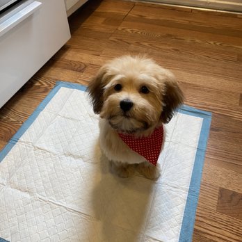 The Pet Shoppe - Pet Stores Near Me - Middletown, New Jersey
