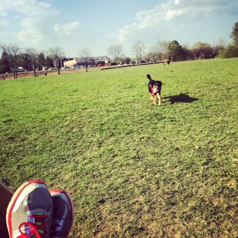 Currie Dog Park - Dog Parks Near Me - Wauwatosa, Wisconsin Currie Dog Park - Dog Parks Near Me - Wauwatosa, Wisconsin