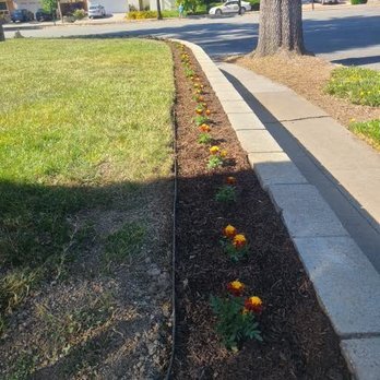 Daylight Landscaping Services - Landscaping Near Me Daylight Landscaping Services - Landscaping Near Me