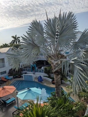 Silver Palms Inn by null