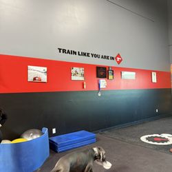 Maximum Velocity Physical Therapy - Inside Maximum Velocity gym/ PT
