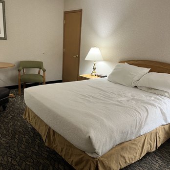 Best Western RiverTree Inn - Queen bed - Hotels Near Me - Clarkston, Washington Best Western RiverTree Inn - Queen bed - Hotels Near Me - Clarkston, Washington