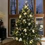 Photo of Granger's Christmas Tree Farm