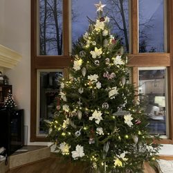 Granger's Christmas Tree Farm - Beautiful 11ft tree!
