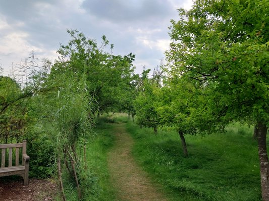 Anne Hathaway's Cottage by null