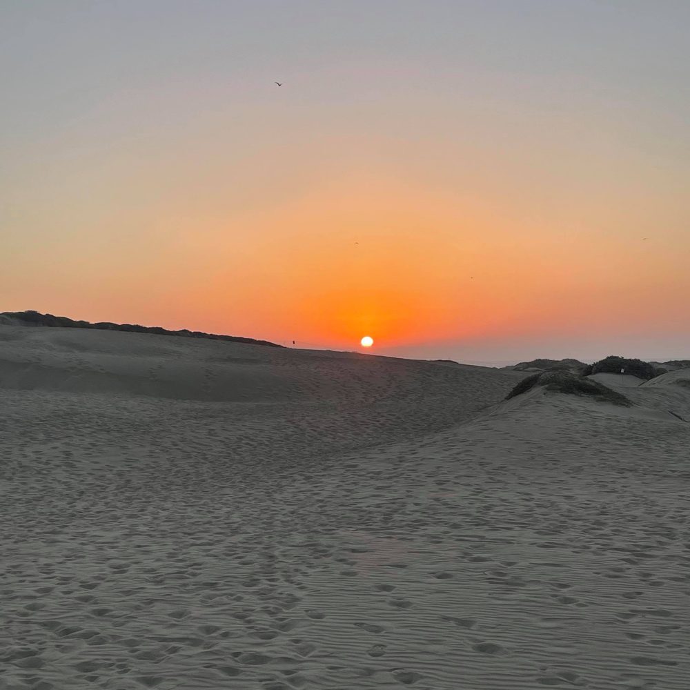 Central Coast Outdoors - Tours Near Me - Morro Bay, California