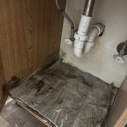 Wellington Woods - Mold in sink and busted plumbing