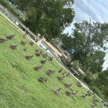 Jacobson Park - Playgrounds Near Me - Lexington, Kentucky