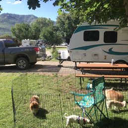 A little dog yard, picnic table and views in park