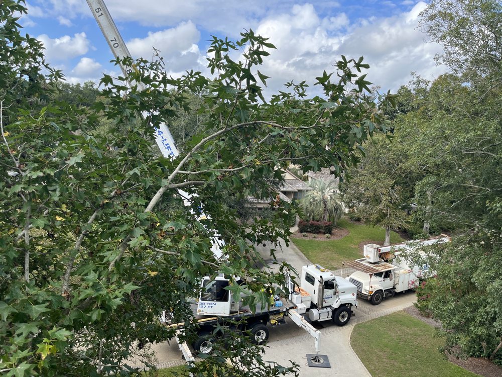 KENS TREE SERVICE - Updated January 2026 - 39 Photos & 11 Reviews ...