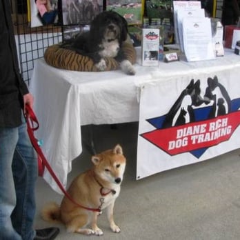 Diane Rich Dog Training, LLC - At the Denny's Pet World sale! - Pet Training Near Me Diane Rich Dog Training, LLC - At the Denny's Pet World sale! - Pet Training Near Me