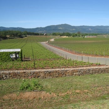 Tour de Cure - Tours Near Me - Oakland, California