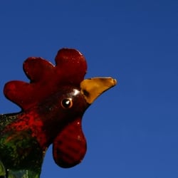 Gaumenschmaus - Hähnchengrill - pixelio hofschlaeger