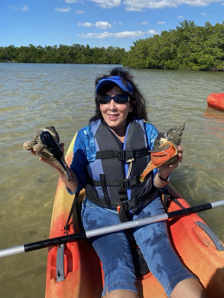 Up A Creek Kayak Tours Logo