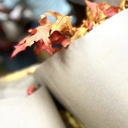 Alborada Florist - Leaf Wrap