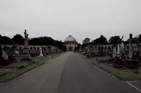 Brompton Cemetery by null
