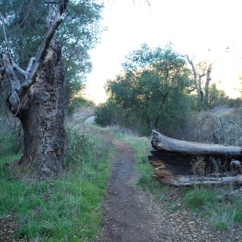 Secret Canyon Trail - The Trail - Hiking Near Me - Alpine, California