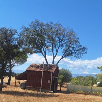 RC Tree Service - Tree Services Near Me - Oroville, California