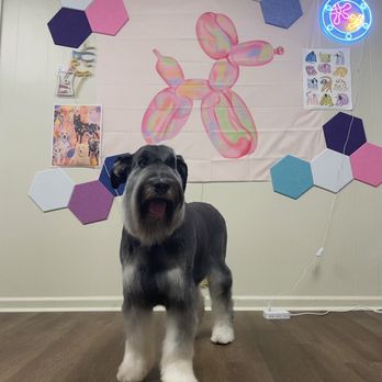 Pittsboro Pups - Pet Groomers Near Me - Pittsboro, North Carolina Pittsboro Pups - Pet Groomers Near Me - Pittsboro, North Carolina