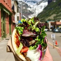 Telluride Gyro Cart - Lamb Gyro
