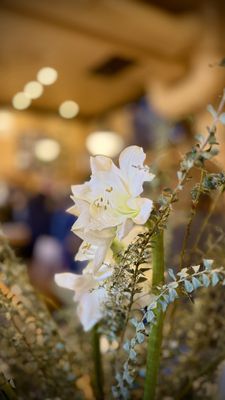 The Model Bakery by null