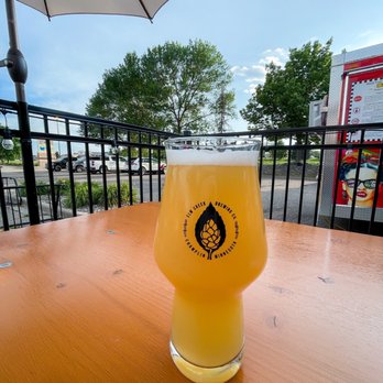 Elm Creek Brewing - a glass of beer on a table - Breweries Near Me - Champlin, Minnesota
