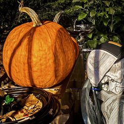 6th & B Garden - Halloween 2023 vibes