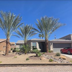 Arizona Garden Nursery & Landscaping - New landscaping with beautiful date palms. Another happy customer!