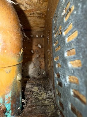 Backside of copper pipe