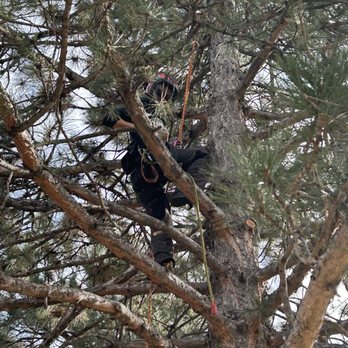 ArborScape - Tree Services Near Me - Englewood, Colorado