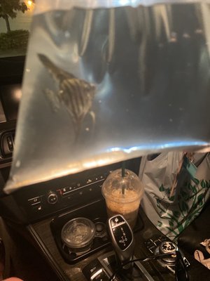 The Fin Shop by null