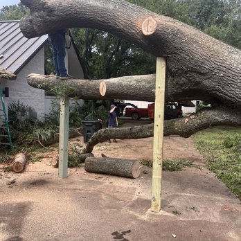 G4 Land Development and Construction - Supports to keep tree from falling as it was removed - General Contractors Near Me